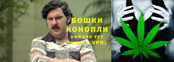 МДПВ Осташков