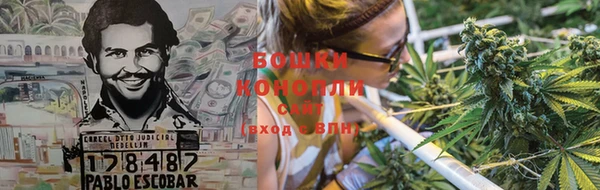 прущие крисы Теберда