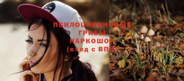 прущие крисы Осинники