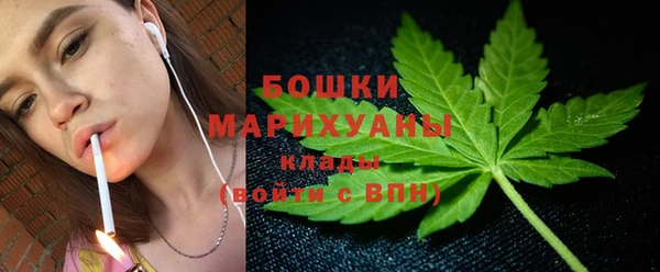 МДПВ Осташков
