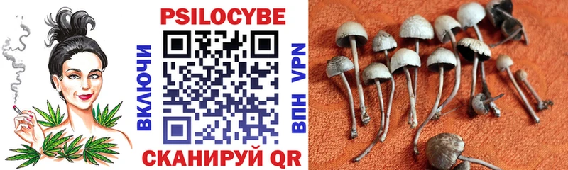 купить закладку  Новопавловск  Галлюциногенные грибы MAGIC MUSHROOMS 